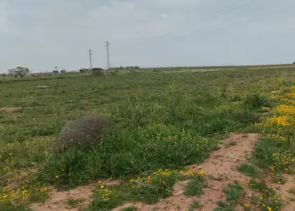 Finca rustica a 100 metros del polg. Industrial alces en Alcázar de San Juan