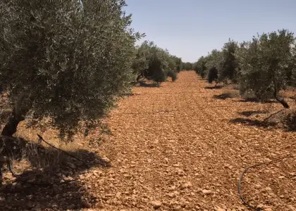 Finca Rústica en Valdepeñas, Aguas en Valdepeñas