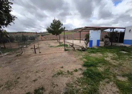 Finca Rústica en Valdepeñas, Carretera de Cozar en Valdepeñas