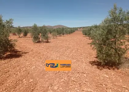 Finca Rústica en Valdepeñas, Valdepeñas en Valdepeñas