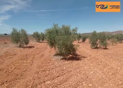 Finca Rústica en Valdepeñas, Valdepeñas en Valdepeñas