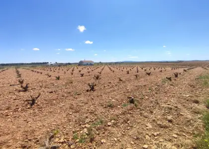 Finca Rústica en Valdepeñas, Valdepeñas en Valdepeñas