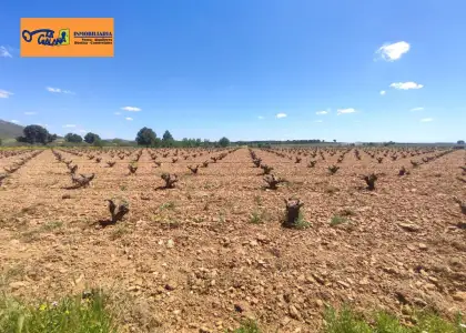 Finca Rústica en Valdepeñas, Valdepeñas en Valdepeñas