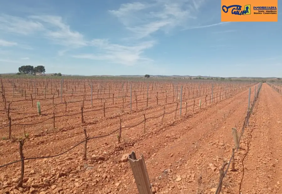 Finca Rústica en Valdepeñas, Valdepeñas en Valdepeñas