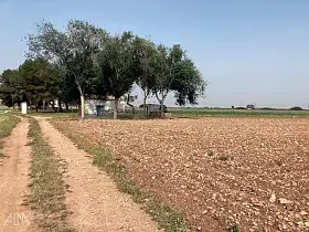 Finca Rústica Venta Membrilla, Membrilla