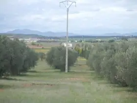 Finca Venta Periferia, Ciudad Real