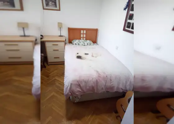 Se alquila habitación en piso compartido de 3 habitaciones en Rosas en Madrid