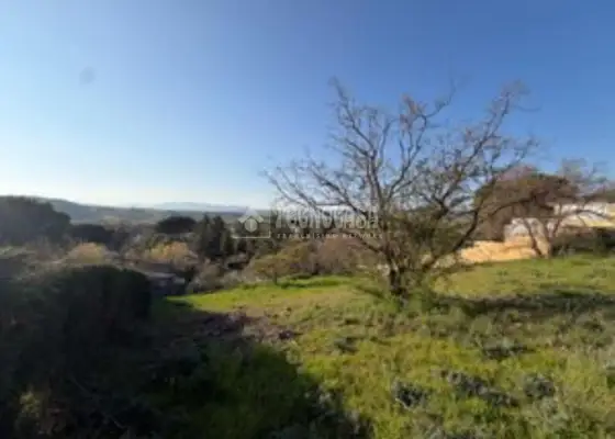 Terrenos en venta en Uceda - Uceda, 87.260 €, 1082 m2, ref. 653631