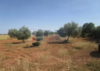 venta de casa en Valdepeñas, CAMPO en Valdepeñas