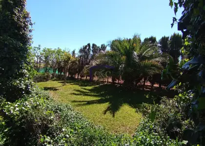 venta de chalet en Manzanares, Manzanares en Manzanares