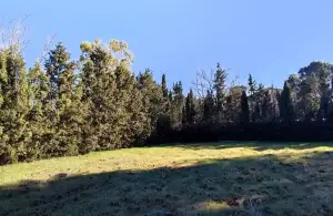 Terreno Rural en venta y alquiler